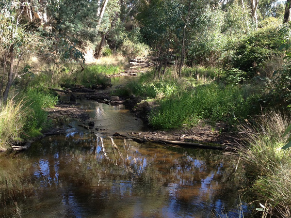 Why do you want to mess up rivers and slow down the water? - Landcare ...