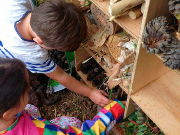 The Natured Kids Junior Landcare Group run by free lance teacher