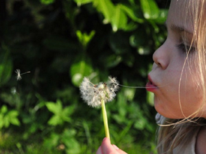 Nature Play Week