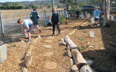 Small school achieves big results restoring native habitat and creating a bush tucker garden