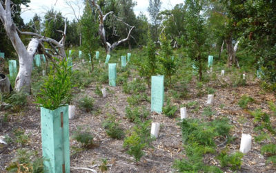 Victorian Landcare group receives first ever Sure Gro Tree Max Landcare Grant