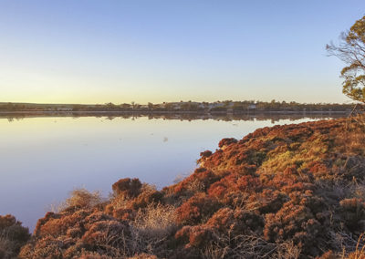 The story that changed the land: restoration in Mallee country