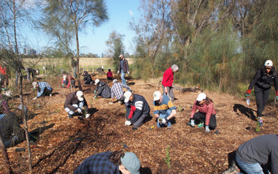 Funding for Landcare groups