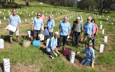 1000 trees planted in four days!
