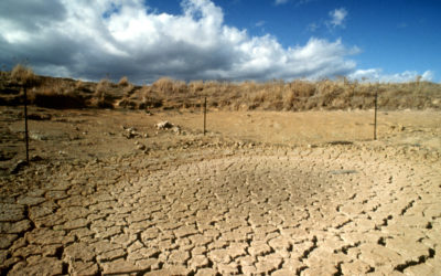 We must look past short-term drought solutions and improve the land itself