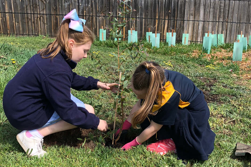 Landcare Awards 2019 - Landcare Australia Landcare Australia