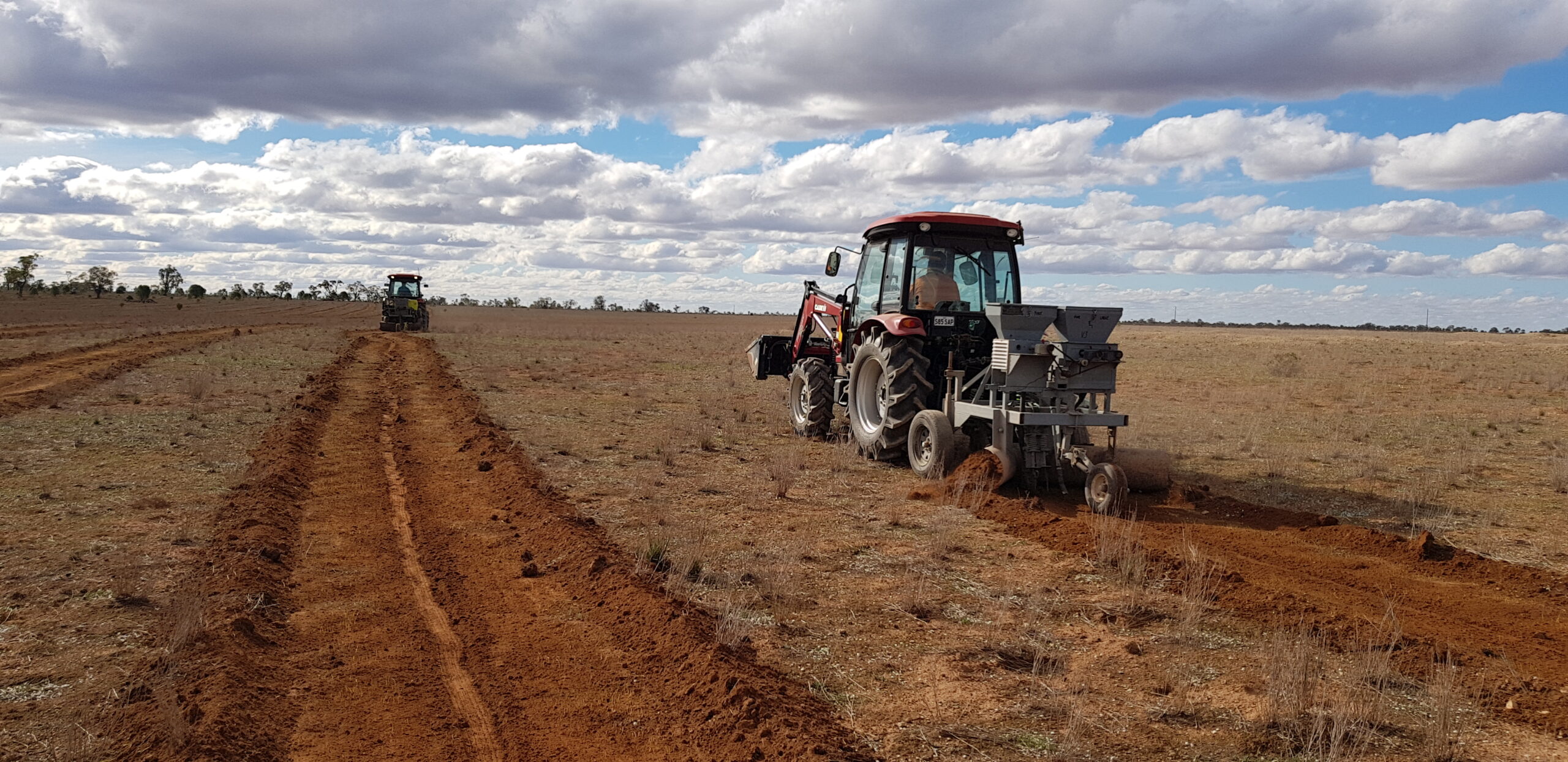 | 20 Million Trees Programme Landcare Australia