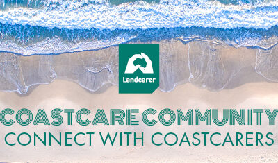 Would you like to connect and collaborate with other Coastcarers?