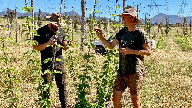 Multiple food and drink industry companies have partnered with Landcare Australia, including 4 Pines Brewing for which Landcare Australia is managing a biodiversity project on Ryefield Hops farm