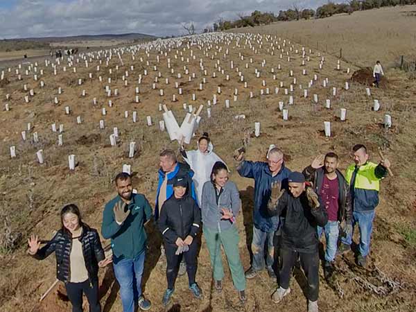 Volunteers standing in front of a large field of newly planted seedlings