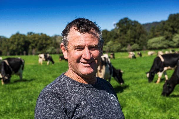 Mark Perry in the field with his dairy herd