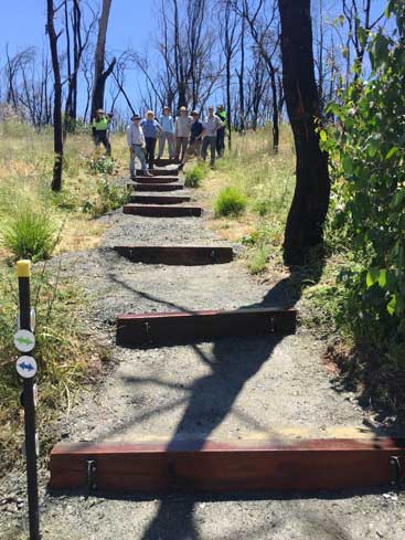 Lobethal Bushland Park after the walkway was installed
