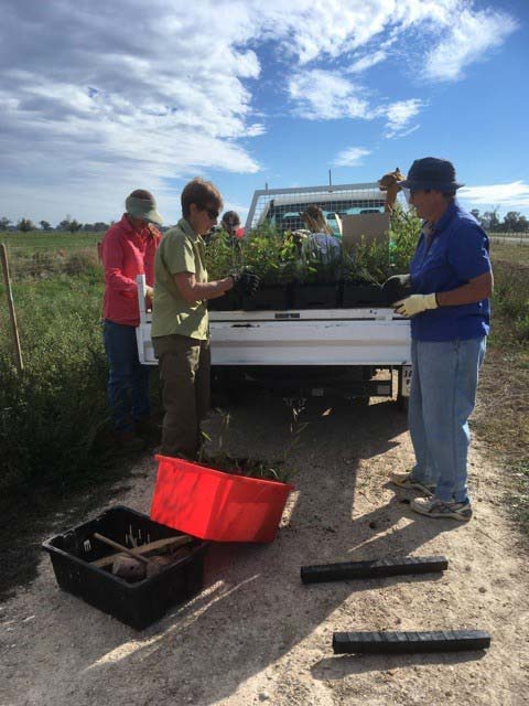 Volunteer planting day at Rushworth State Forest and Girgarre
