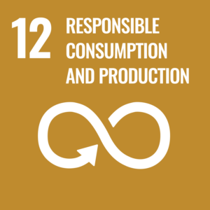 Responsible Consumption And Production UN goal tile graphic