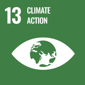 Climate Action UN goal tile graphic