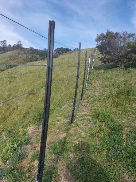 Permanent Electric Gallagher Westonfence erected at the western boundary of the Billy’s Creek Valley site