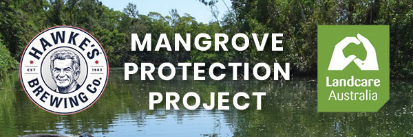 Mangrove Protection Project Promotional Header