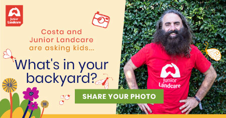 What's In Your Backyard promotional graphic featuring Costa