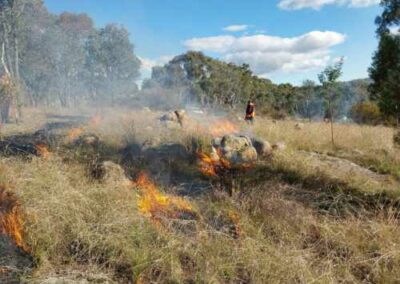 New partnership between Steadfast and Landcare Australia to empower a First Nations-led bushfire mitigation initiative