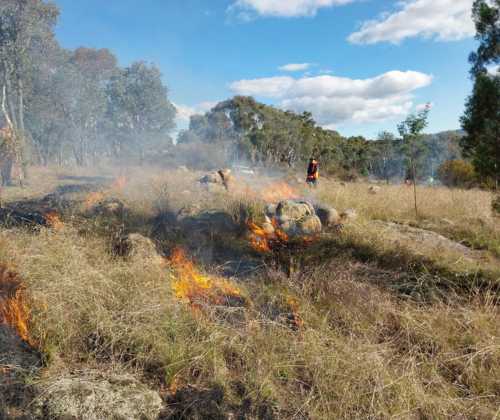 New Partnership Between Steadfast And Landcare Australia To Empower A ...