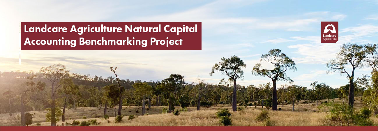 Landcare Agriculture Natural Capital Accounting Benchmarking Project