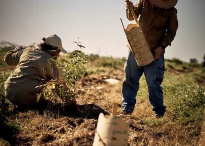 LANDCARE AUSTRALIA AND COUNTRY ROAD EXPAND $1MILLION BIODIVERSITY PROJECT WITH NEW FARMING FAMILY TO SUPPORT HABITATS AND THREATENED SPECIES