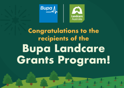 Bupa Landcare Grants to Power Planting of 82,500 Trees, Shrubs and Groundcovers Across Urban Australia