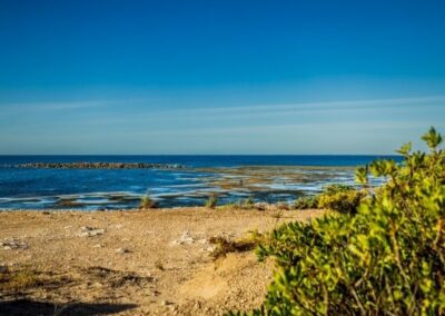 Landcare Australia Funds First Nations-Led Project for Youth to Connect with Culture through Caring for Country