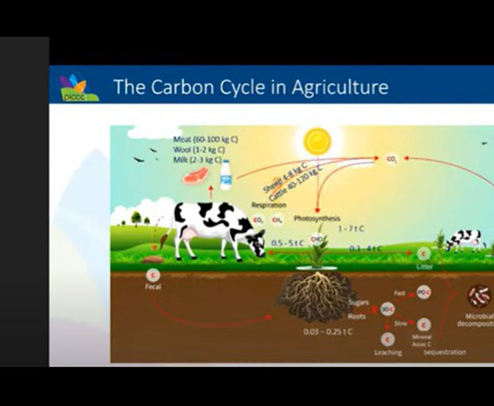 The Carbon Cycle in Agricuture