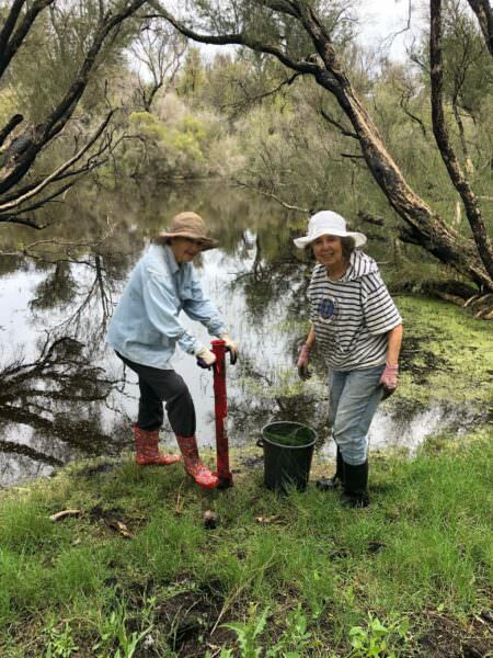 Bev McMahon (L) and Joan Payne (R) planting native plants