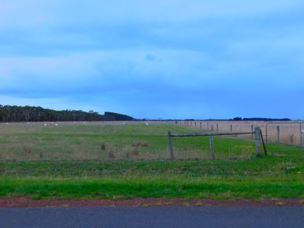 Flat 3.4 ha ewe lambing paddock